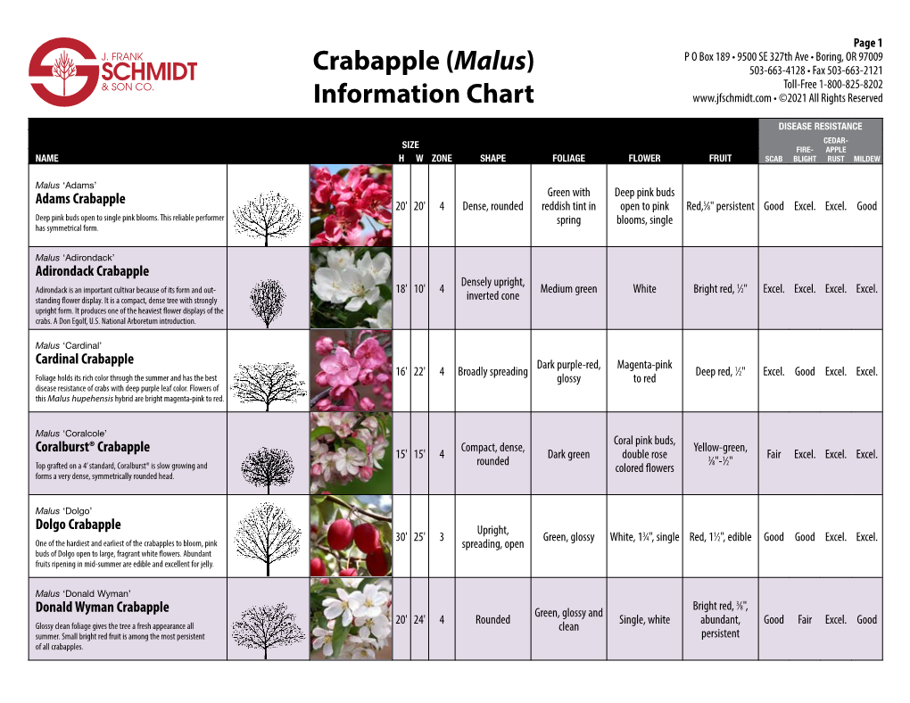 Crabapple (Malus) Information Chart