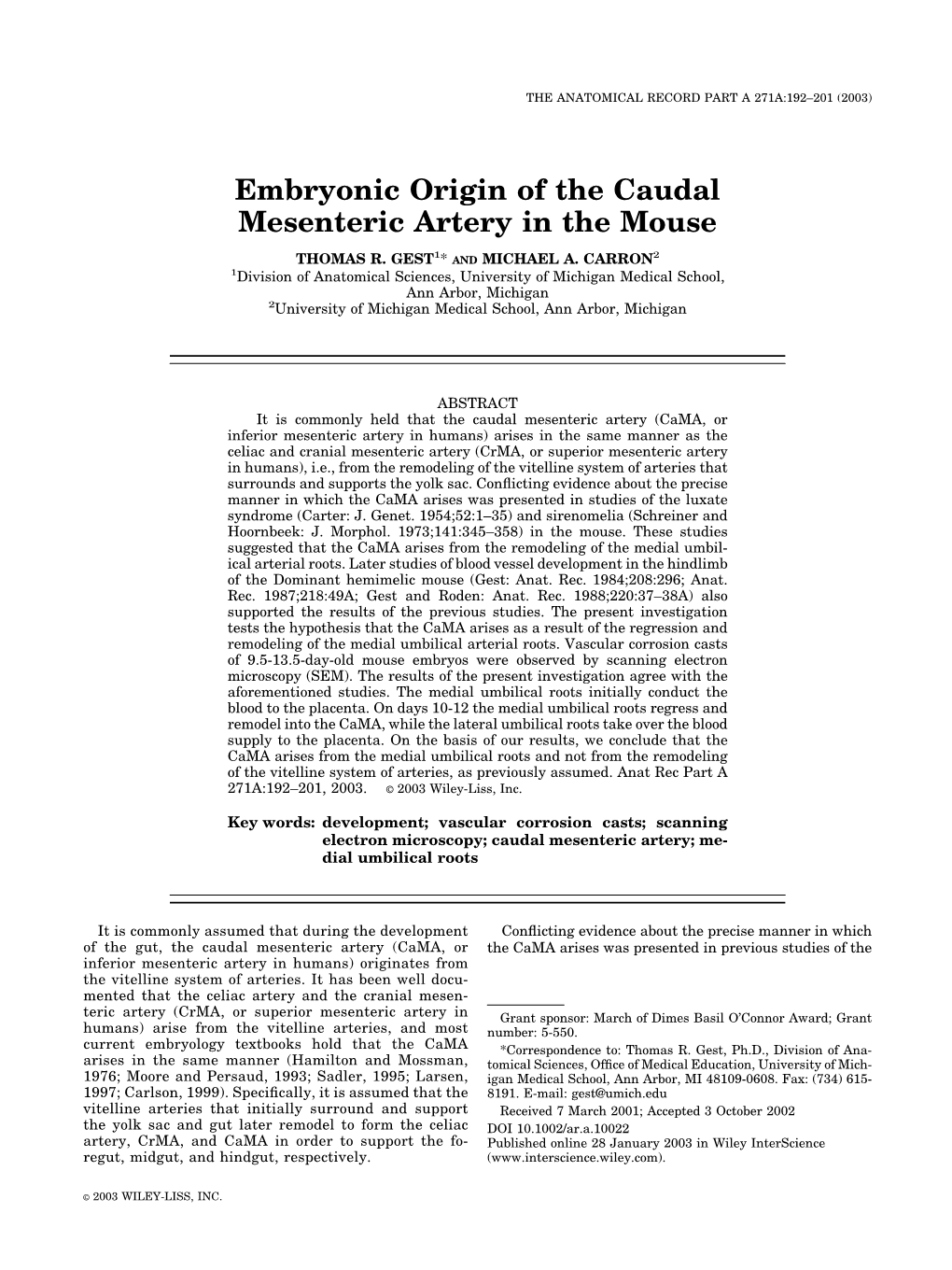 Embryonic Origin of the Caudal Mesenteric Artery in the Mouse