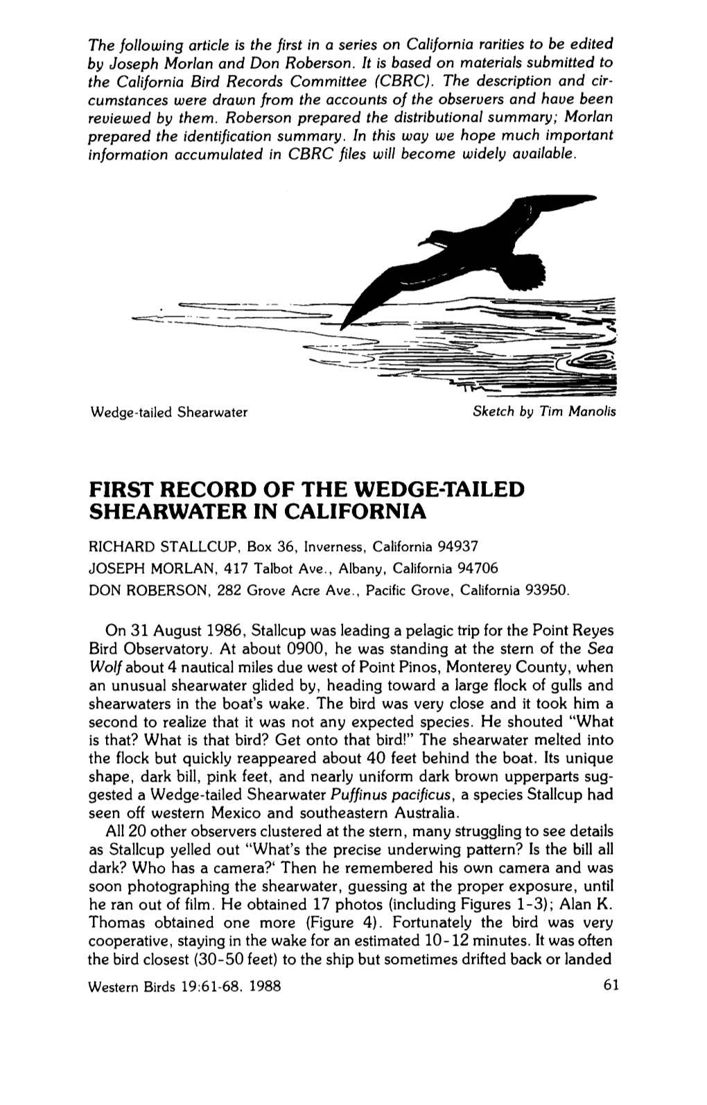 First Record of the Wedge-Tailed Shearwater in California