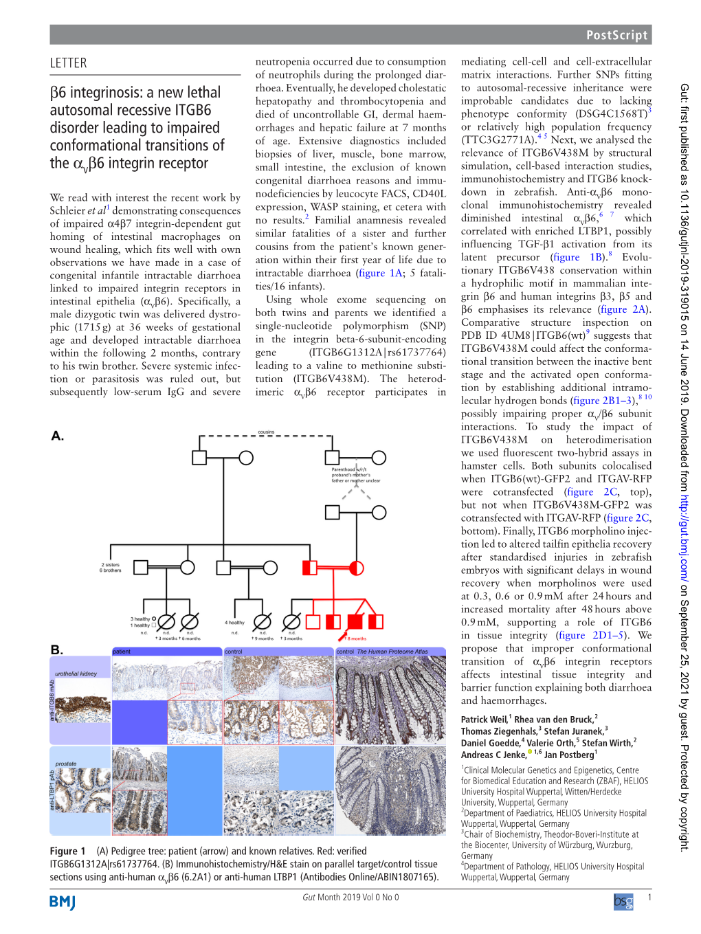 Β6 Integrinosis: a New Lethal Autosomal Recessive ITGB6