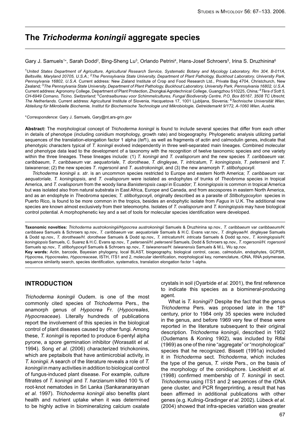 The Trichoderma Koningii Aggregate Species