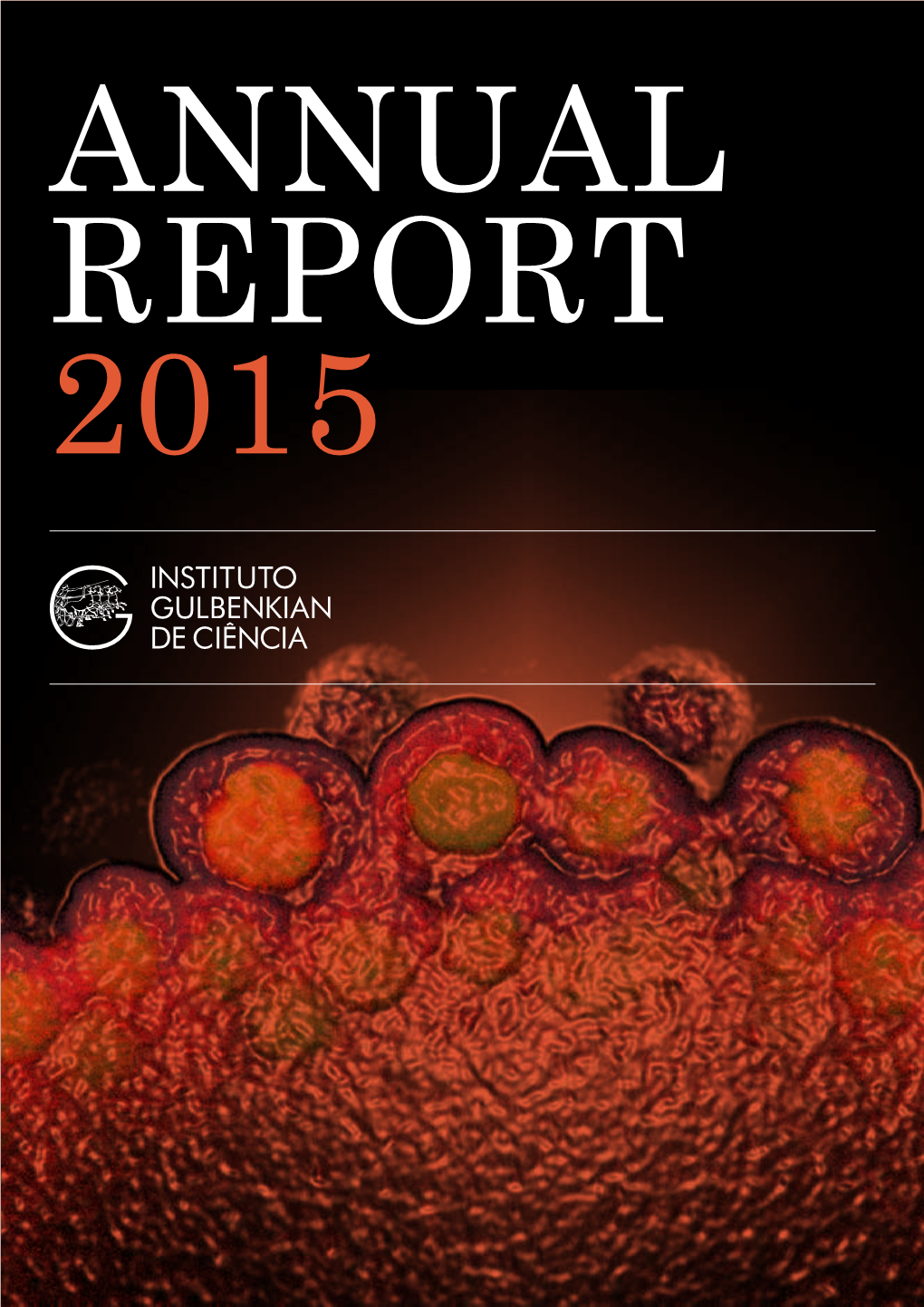 2015 Cover Image Embryonic Germ Cells of Drosophila Melanogaster