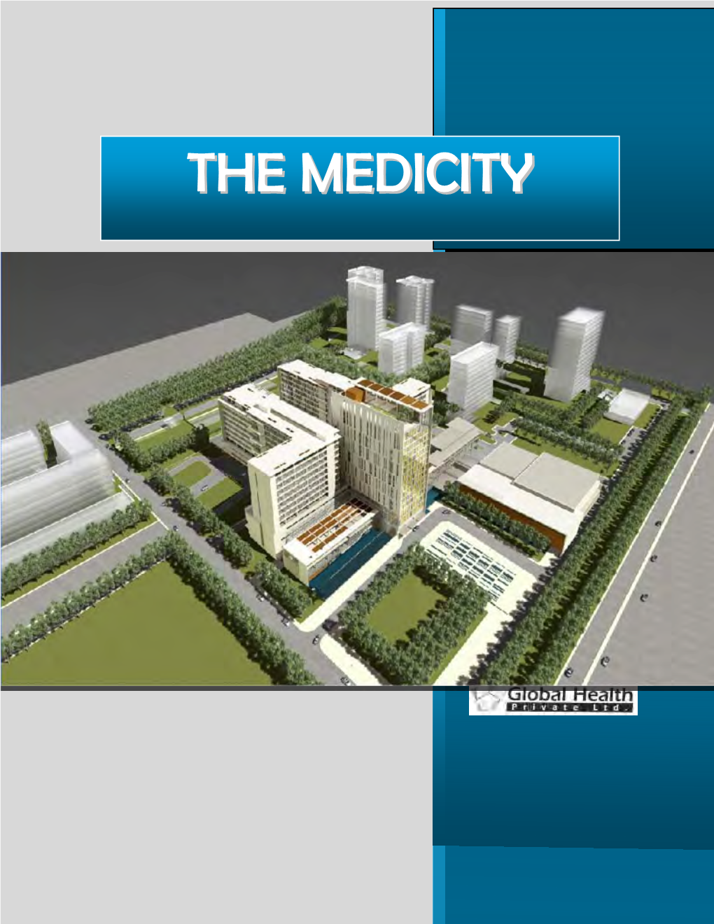 The Medicity: a New Concept in Medical and Health Care