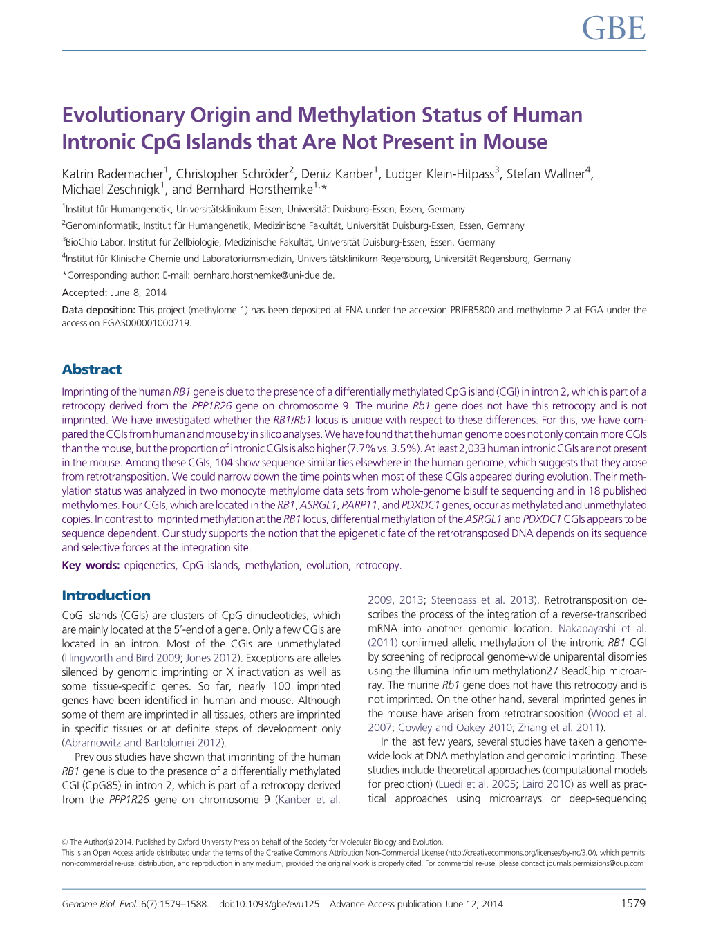 Evolutionary Origin and Methylation Status of Human Intronic Cpg Islands That Are Not Present in Mouse