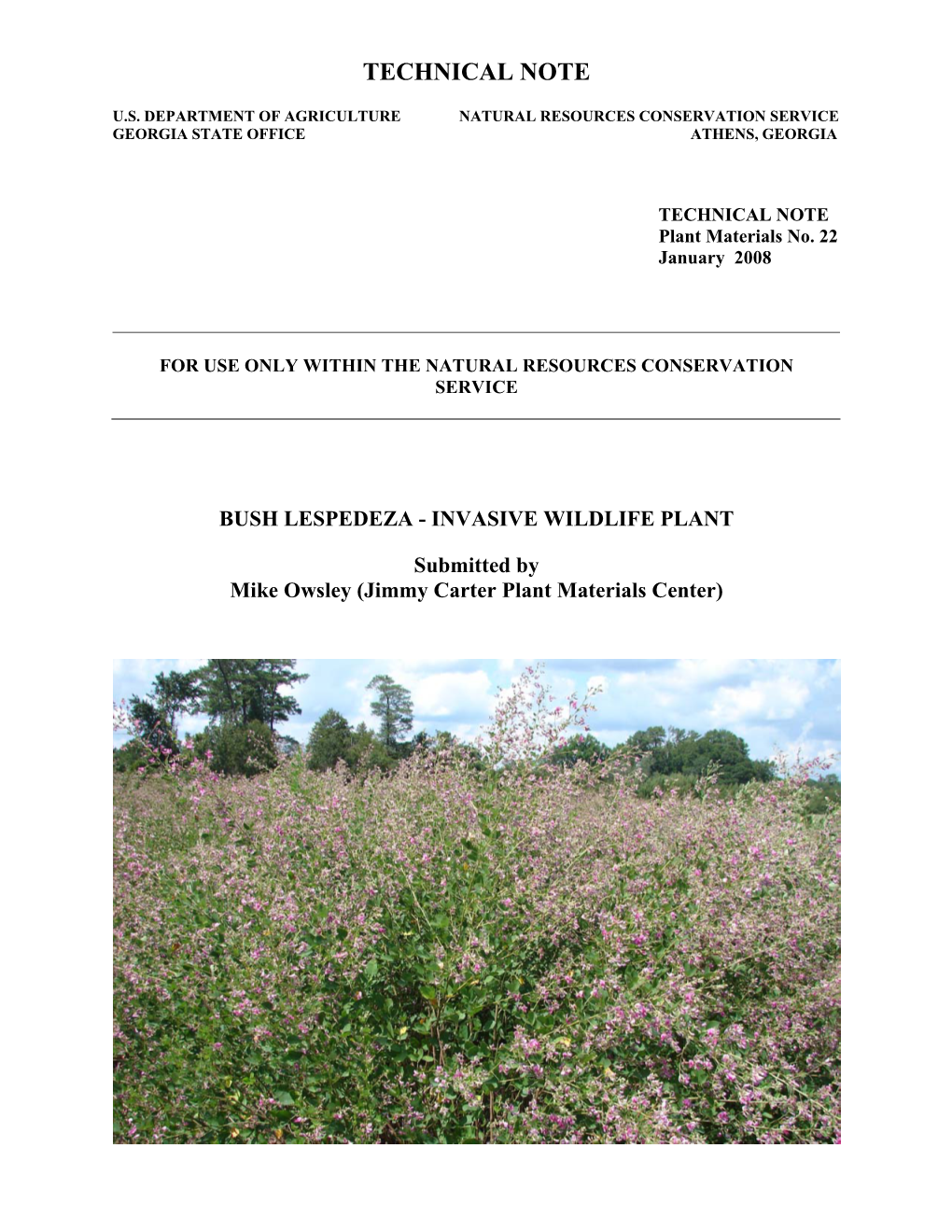 Bush Lespedeza - Invasive Wildlife Plant