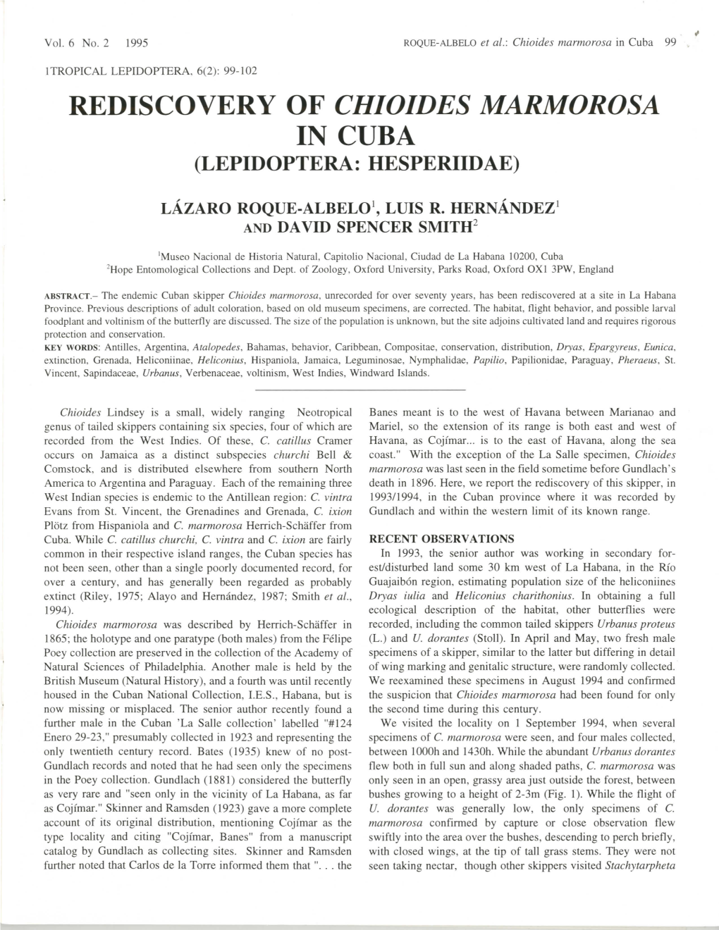 Rediscovery of Chioides Marmorosa in Cuba (Lepidoptera: Hesperiidae)