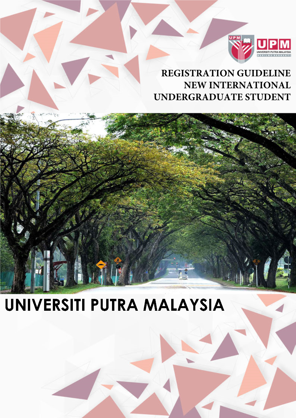 Registration Guideline New International Undergraduate Student