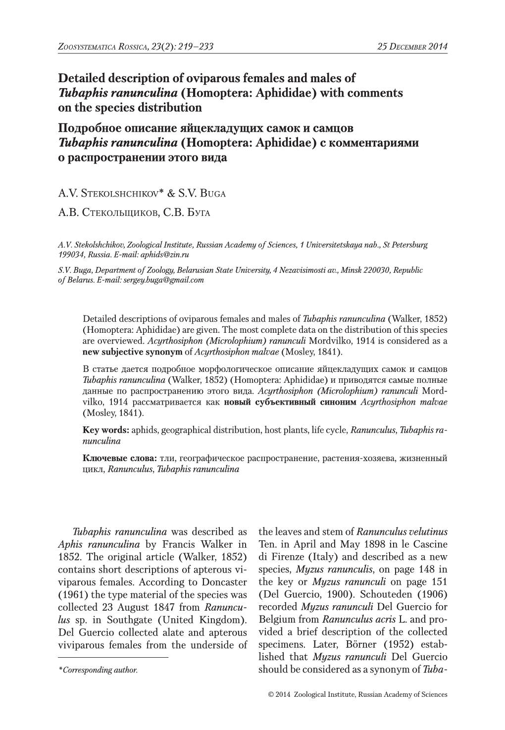 Detailed Description of Oviparous Females and Males of Tubaphis