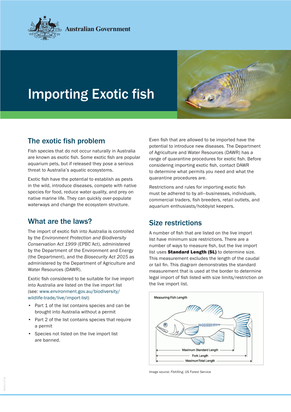 Importing Exotic Fish