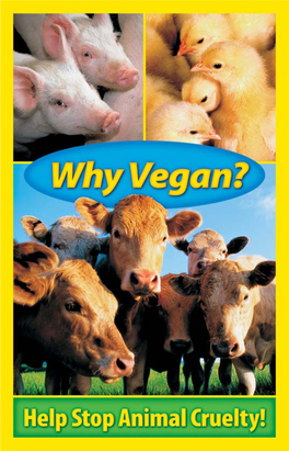 The Why Vegan?