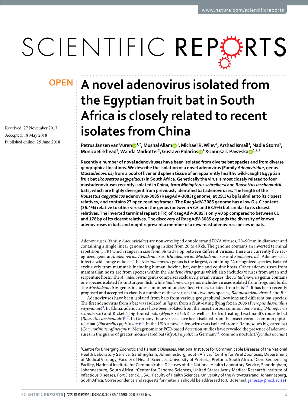 A Novel Adenovirus Isolated from the Egyptian Fruit Bat in South Africa Is