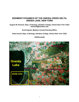 Sediment Dynamics of the Oneida Creek Delta, Oneida Lake, New York
