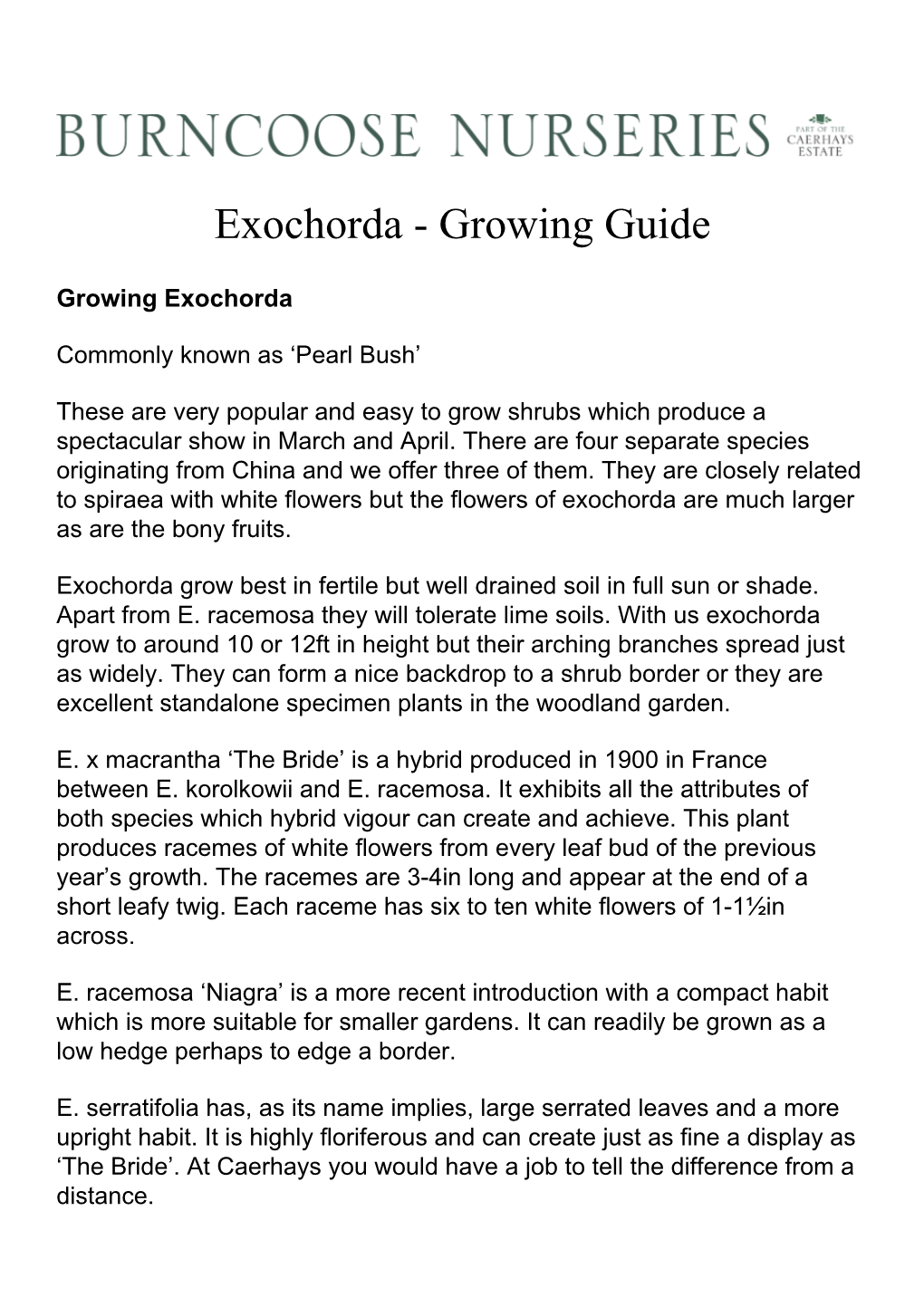 Exochorda - Growing Guide