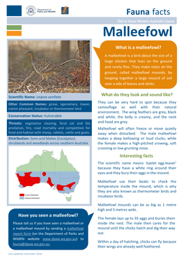 Malleefowl Facts Dec2016 FINAL