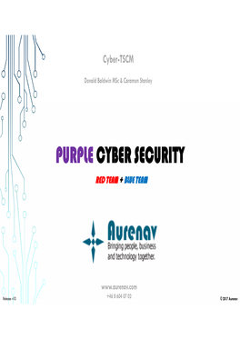 Purple Cyber Security Red Team + Blue Team