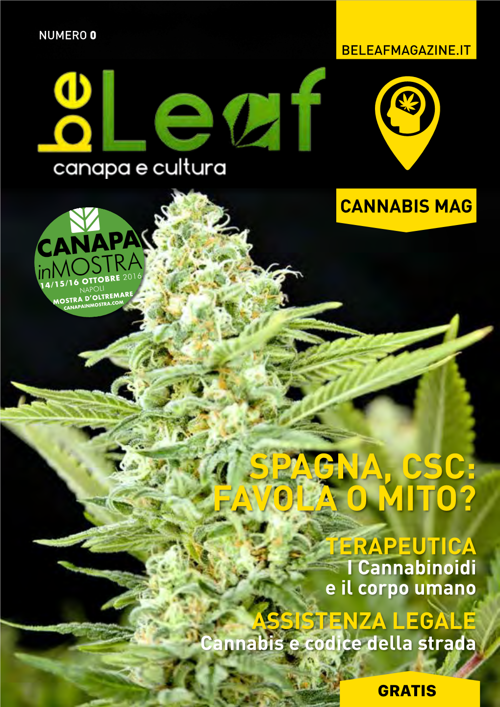 Beleaf Magazine N 0 Cannabis