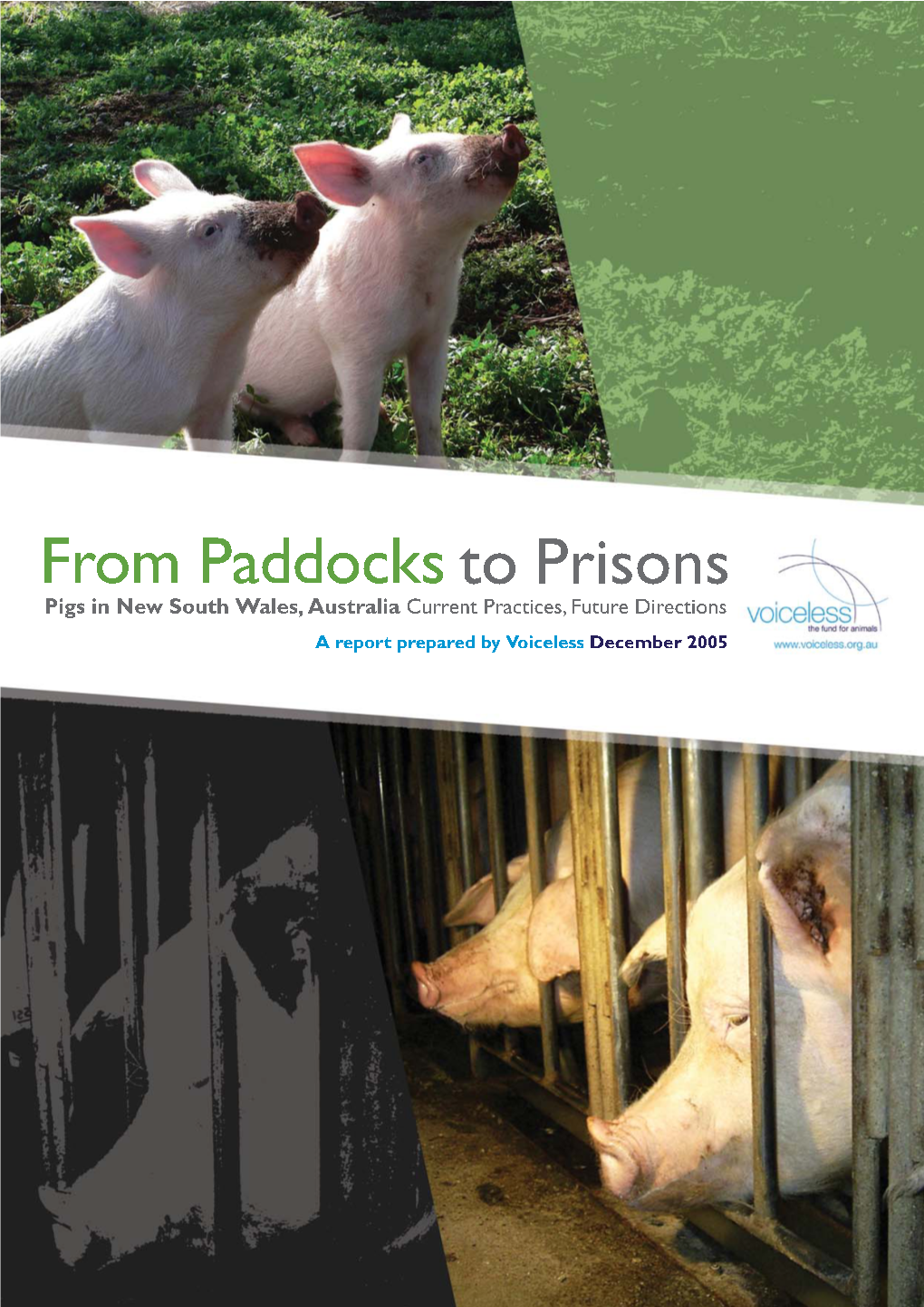 From Paddocks to Prisons