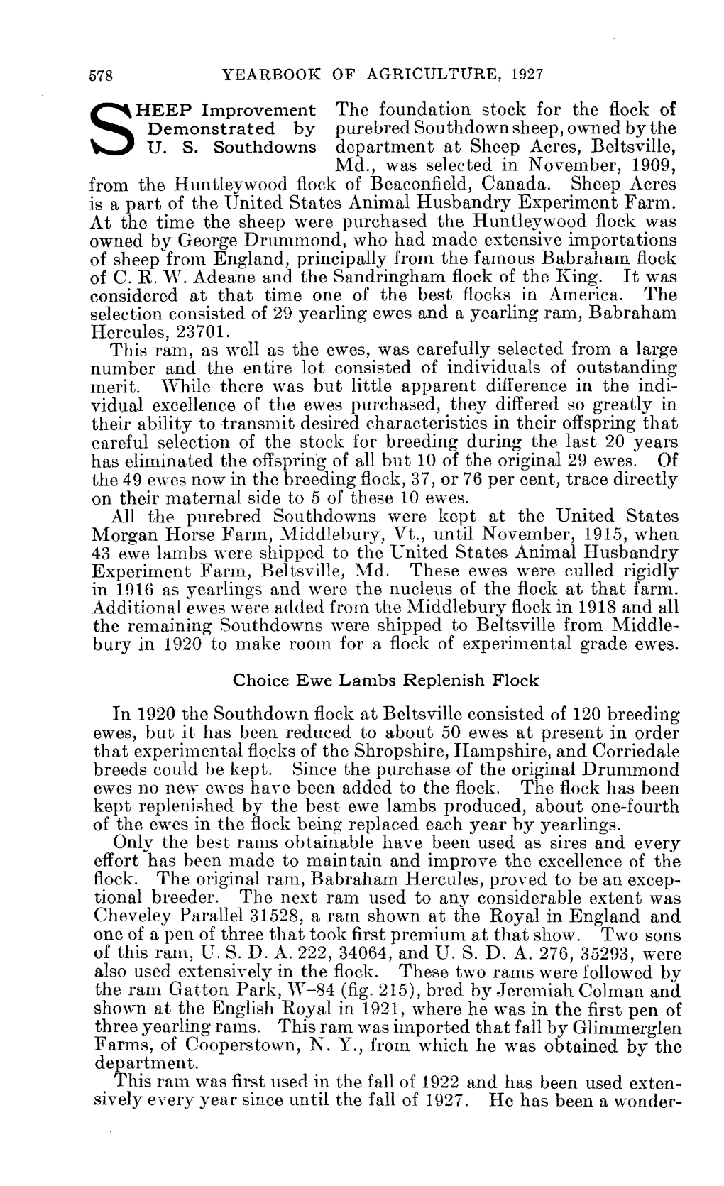 SHEEP Improvement the Foundation Stock for the Flock of Demonstrated by Purebred Southdown Sheep, Owned by the U