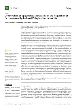 Contribution of Epigenetic Mechanisms in the Regulation of Environmentally-Induced Polyphenism in Insects