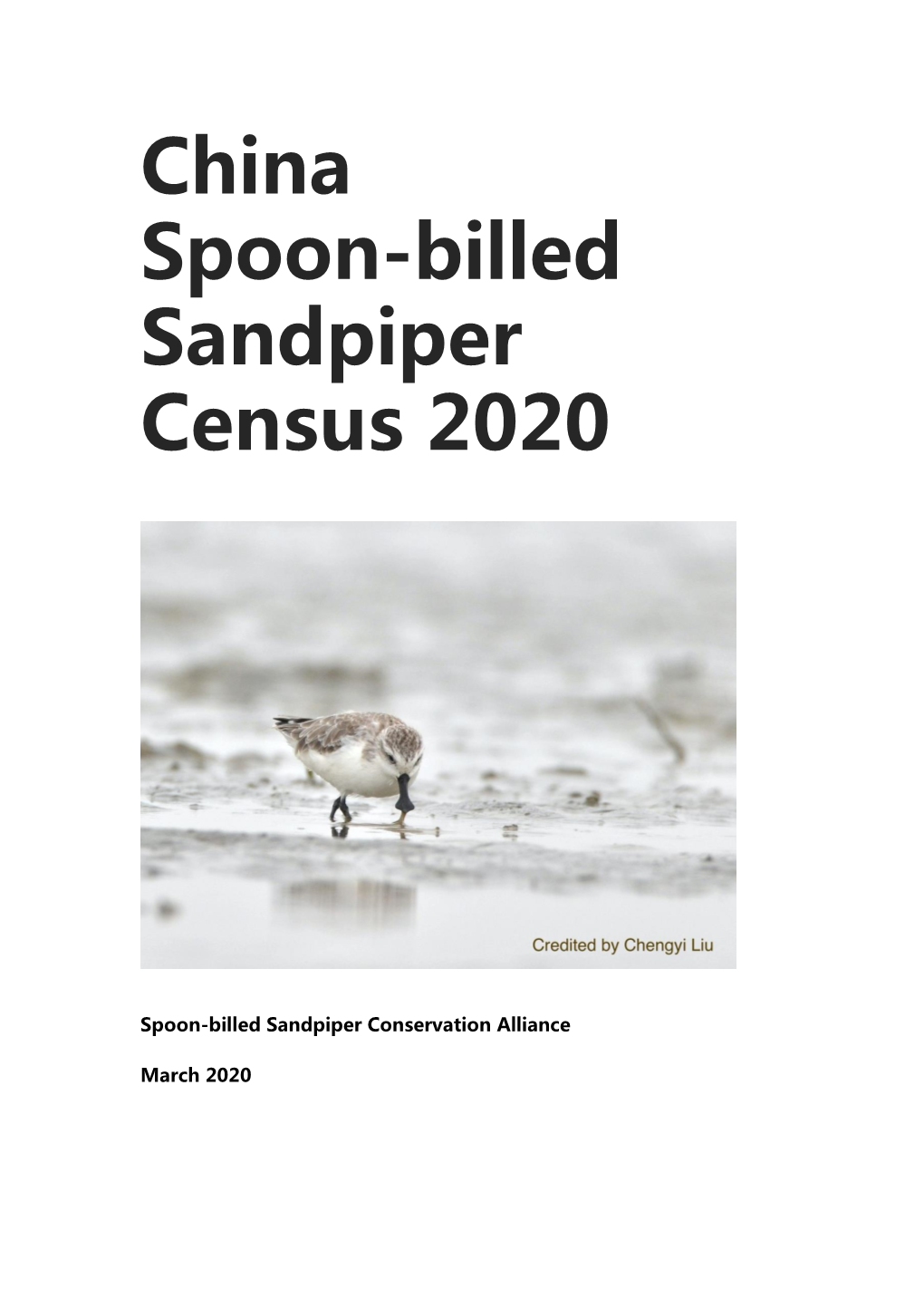 China Spoon-Billed Sandpiper Census 2020