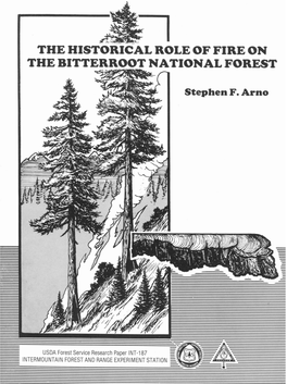 The Historical Role of Fire on the Bitterroot National Forest Stephen F