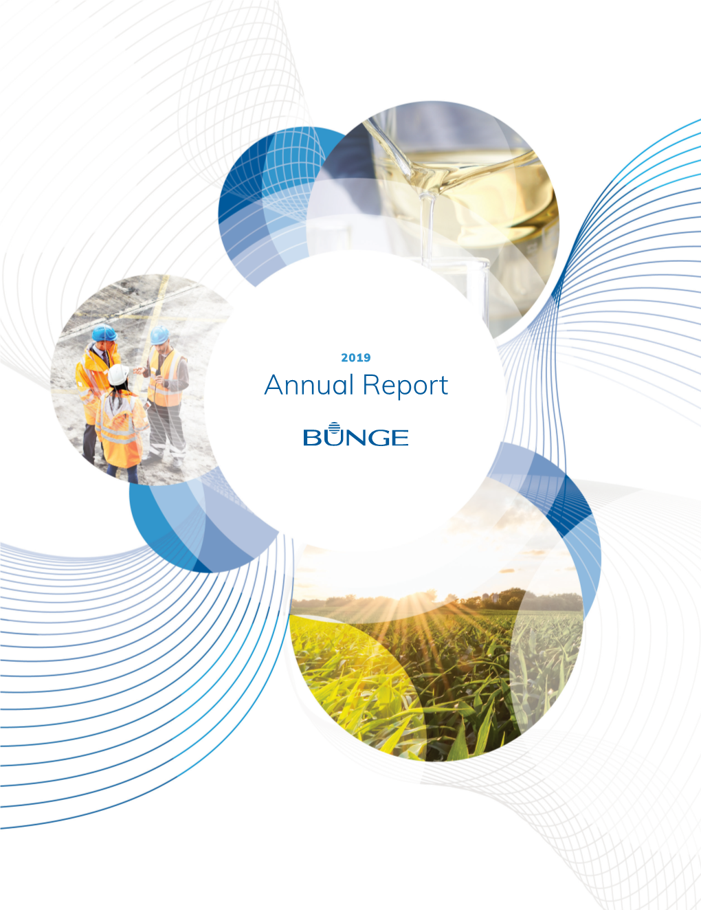 Bunge 2019 Annual Report