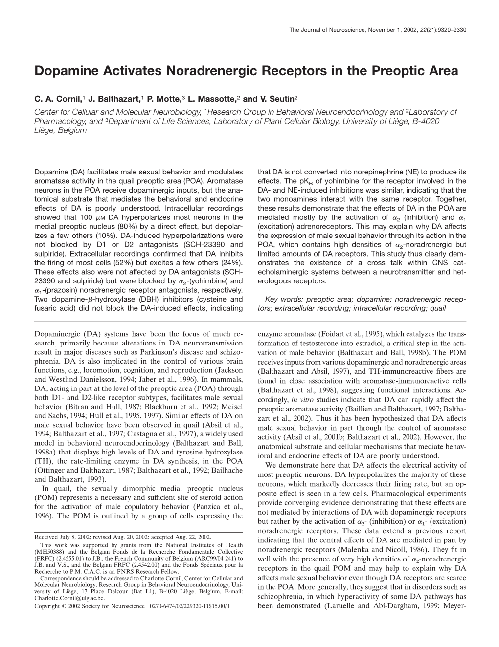 Dopamine Activates Noradrenergic Receptors in the Preoptic Area