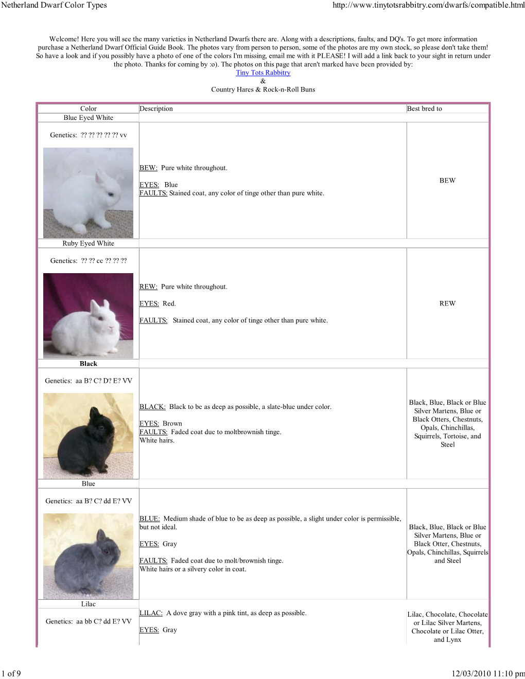 Netherland Dwarf Color Types