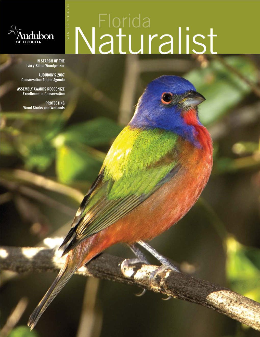 Audubon Florida Naturalist Magazine Winter 2006