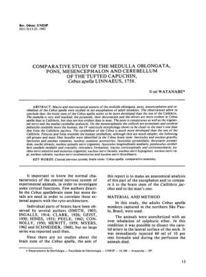 COMPARATIVE STUDY of the MEDULLA OBLONGATA, PONS, MESENCEPHALON and CEREBELLUM of the TUFTED CAPUCHIN, Cebus Apel1a LINNAEUS, 1758