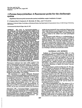 1-Pyrene-Butyrylcholine: a Fluorescent Probe for the Cholinergic