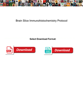 Brain Slice Immunohistochemistry Protocol