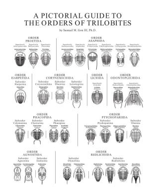 A Pictorial Guide to the Orders of Trilobites