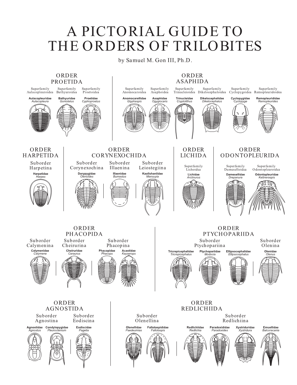 A Pictorial Guide To The Orders Of Trilobites - DocsLib