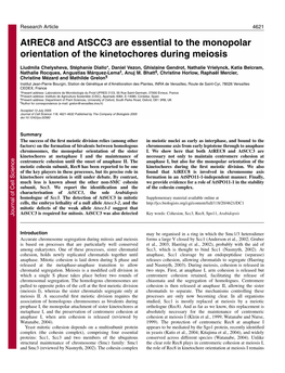 Atrec8 and Atscc3 Are Essential to the Monopolar Orientation of the Kinetochores During Meiosis