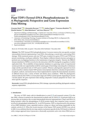 Plant TDP1 (Tyrosyl-DNA Phosphodiesterase 1): a Phylogenetic Perspective and Gene Expression Data Mining