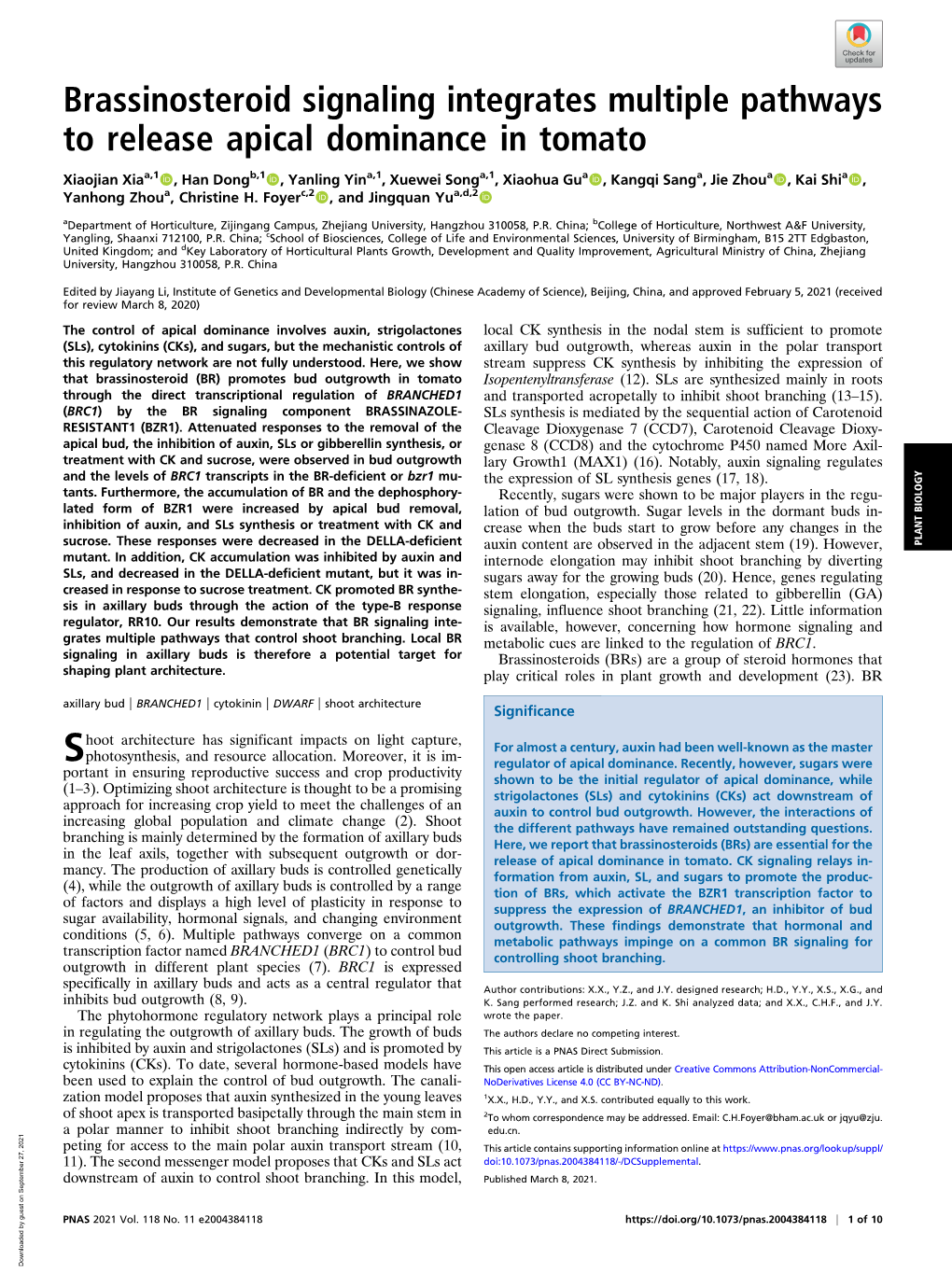 Brassinosteroid Signaling Integrates Multiple Pathways to Release Apical Dominance in Tomato