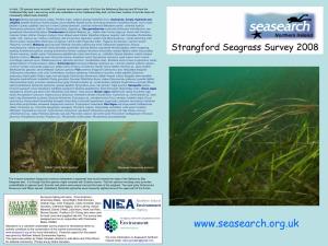 Northern Ireland Seagrass Surveys 2008