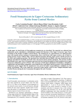 Fossil Stomatocysts in Upper Cretaceous Sedimentary Pyrite from Central Mexico