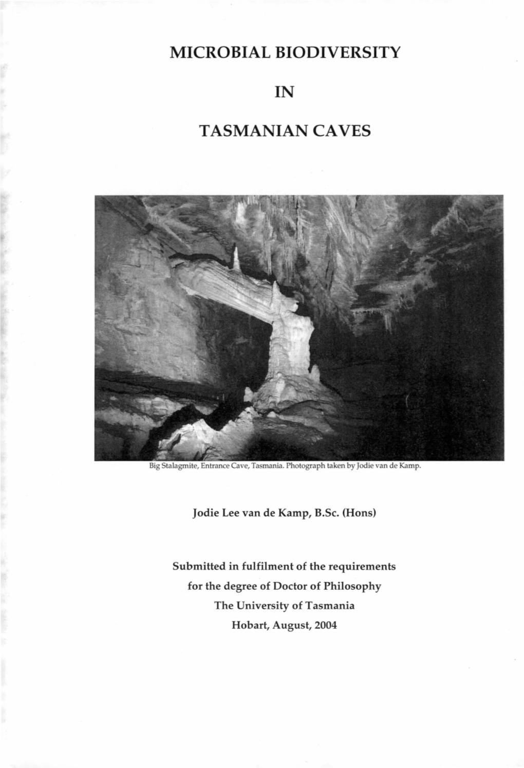 Microbial Biodiversity in Tasmanian Caves