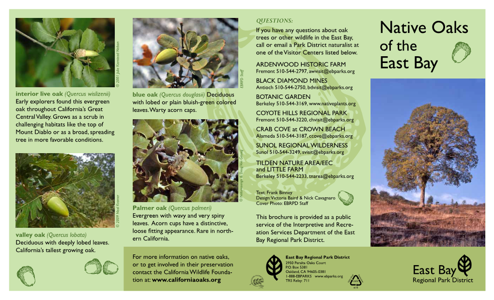 Native Oaks Trees Or Other Wildlife in the East Bay, Call Or Email a Park District Naturalist at One of the Visitor Centers Listed Below