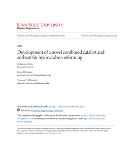Development of a Novel Combined Catalyst and Sorbent for Hydrocarbon Reforming Justinus A