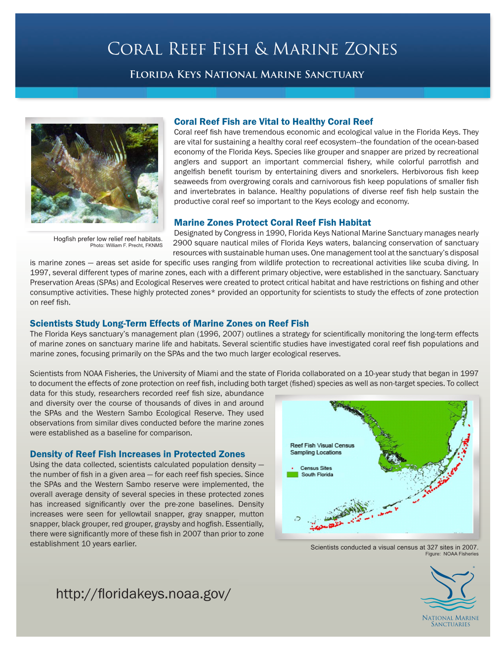 Coral Reef Fish and Marine Zones