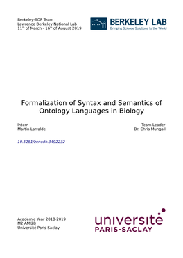 Formalization of Syntax and Semantics of Ontology Languages in Biology