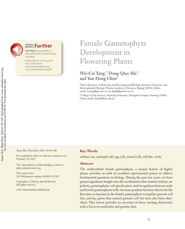 Female Gametophyte Development in Flowering Plants