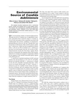 Environmental Source of Candida Dubliniensis