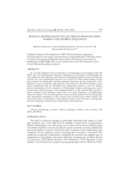 Molecular Phylogeny of Calcareous Sponges Using 18S Rrna and 28S Rrna Sequences