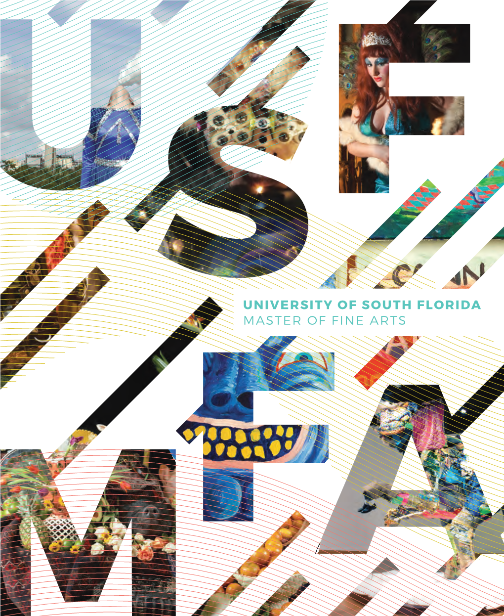 University of South Florida Master of Fine Arts