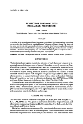 Revision of Drymophloeus
