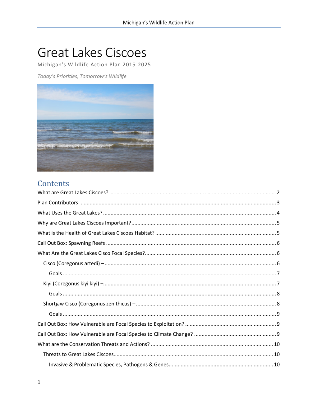 Wildlife Action Plan: Great Lakes Ciscoes (Accessible)